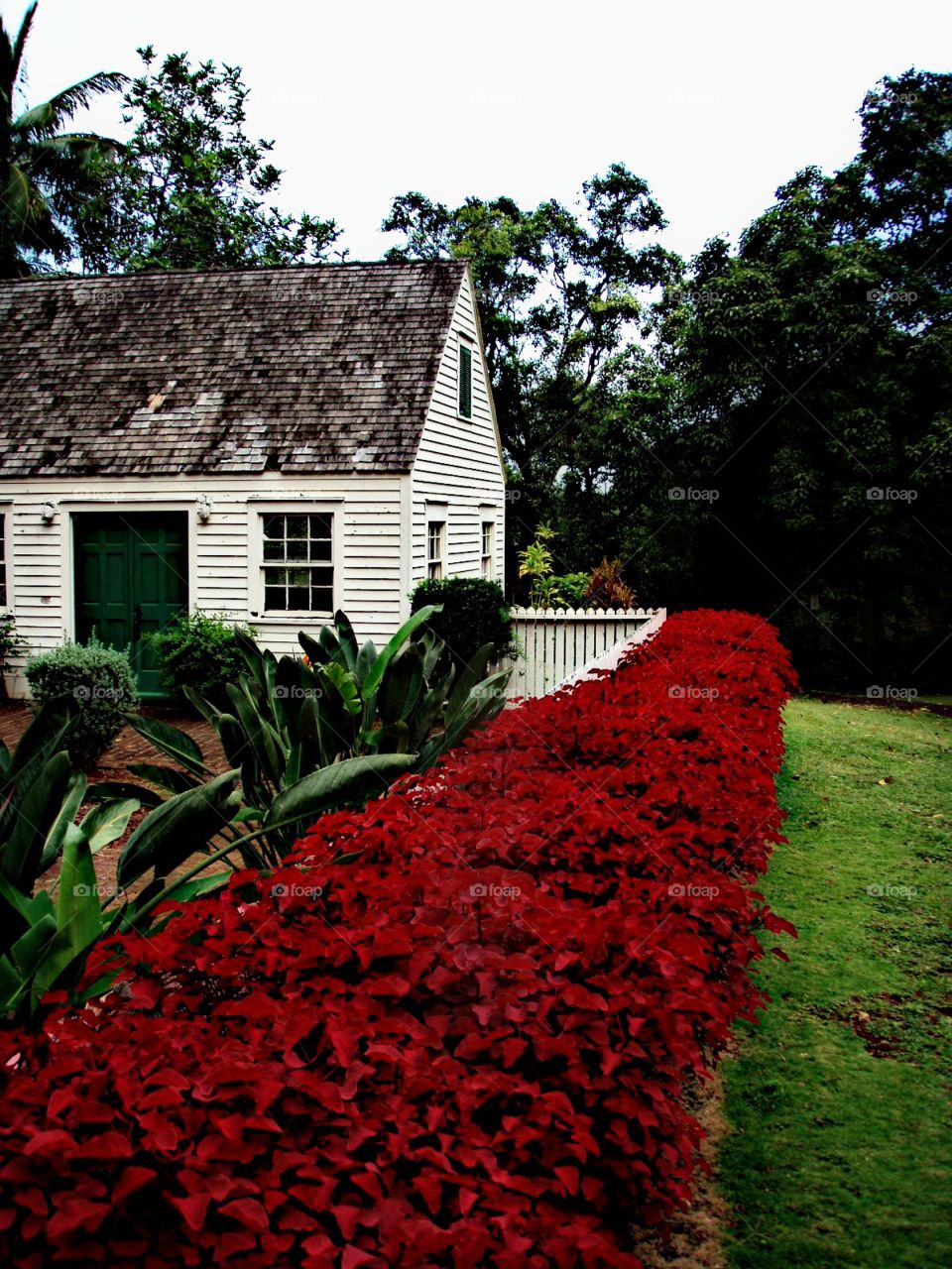 Old house. Old house