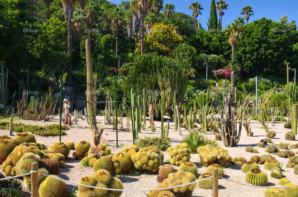 Marimutra Botanical Gardens in Blanes, Spain, Barcelona. Includes over 4000 different plant species