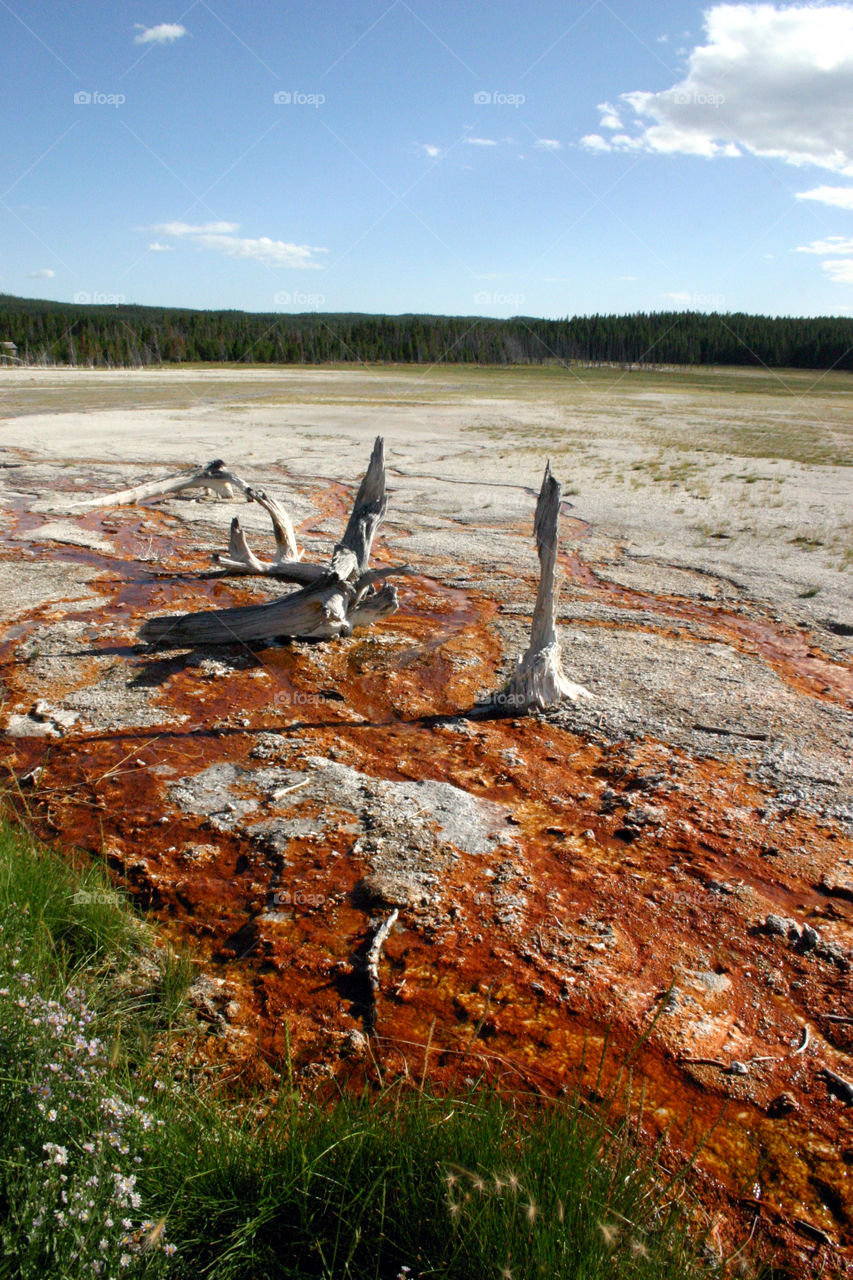 Hot spring sulfur fields.  Yellow Stone National Park 