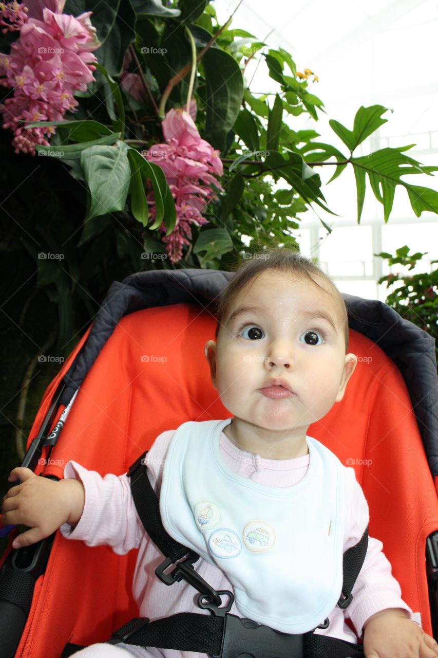 Cute surprised todder in a butterfly conservatory