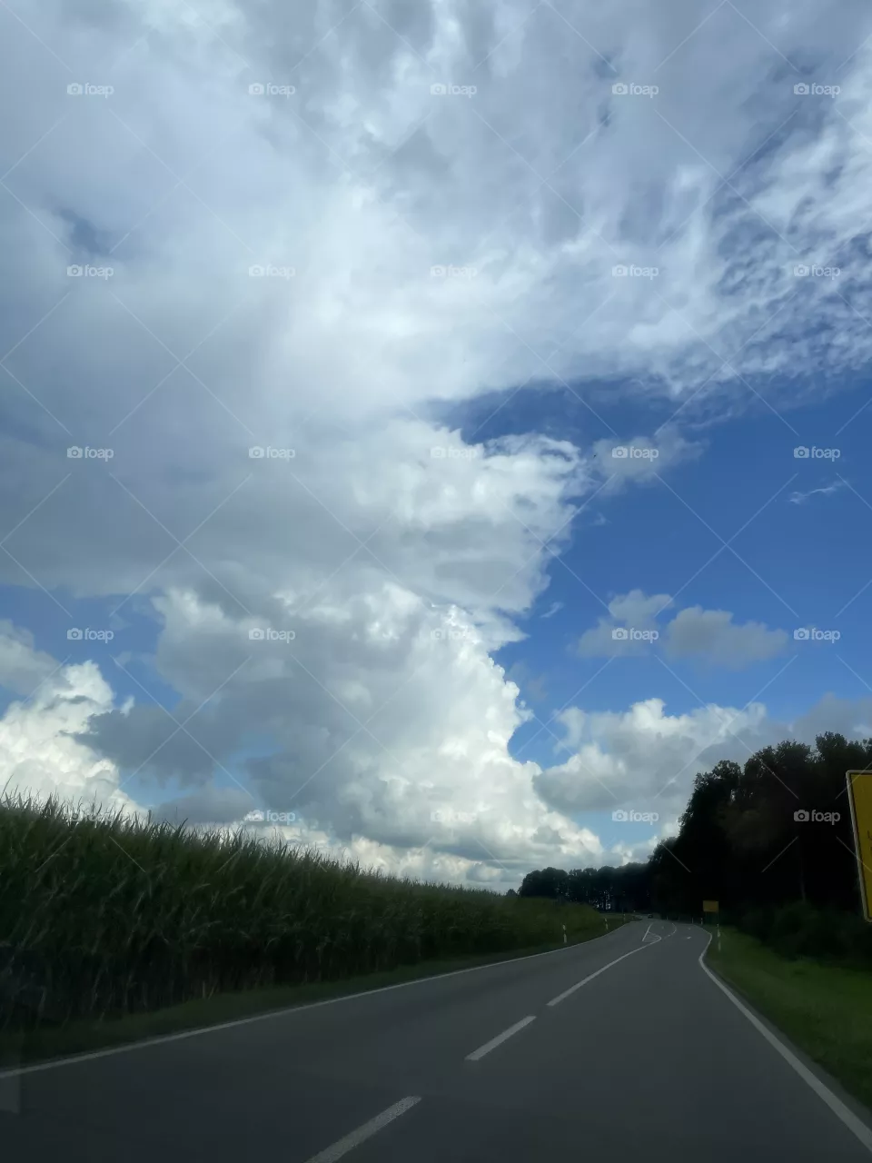 Blue sky summer
