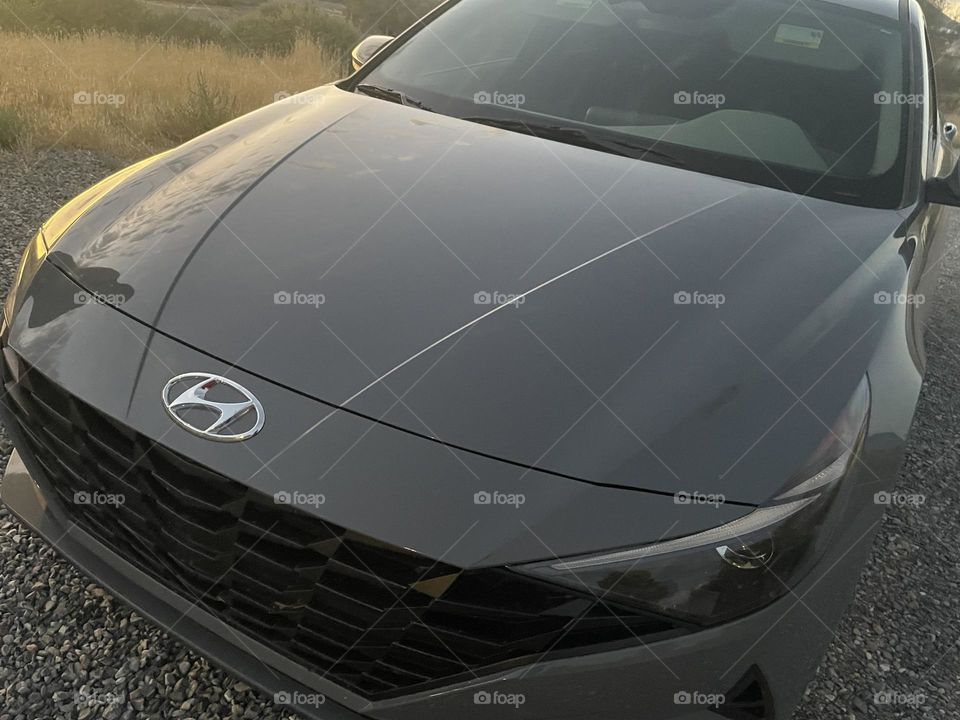 A grey Hyundai Elantra. 