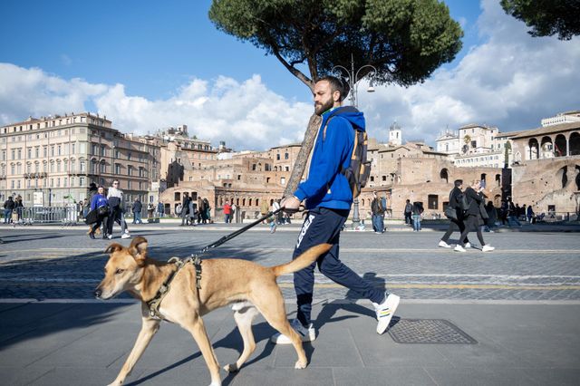Walking dog