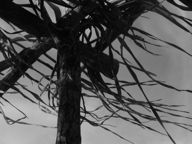 The efect of the wind