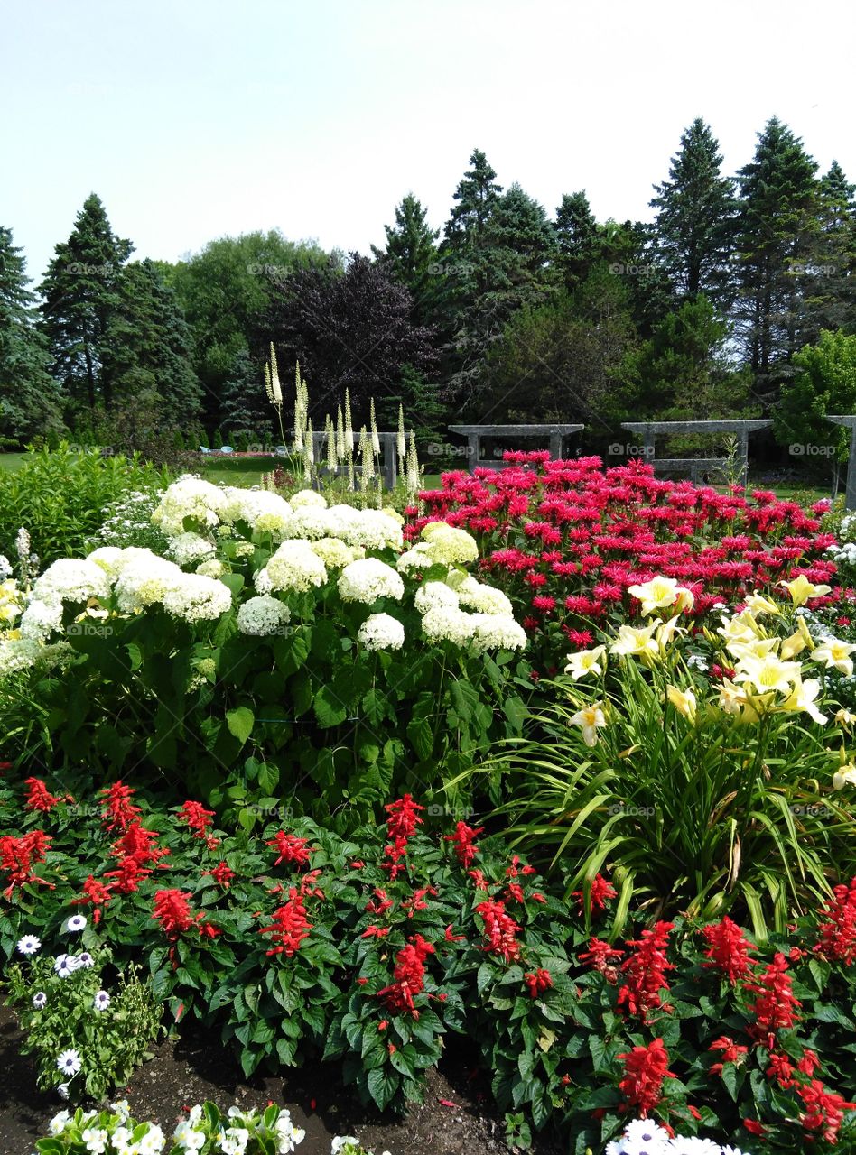 Red and White Botanical Garden