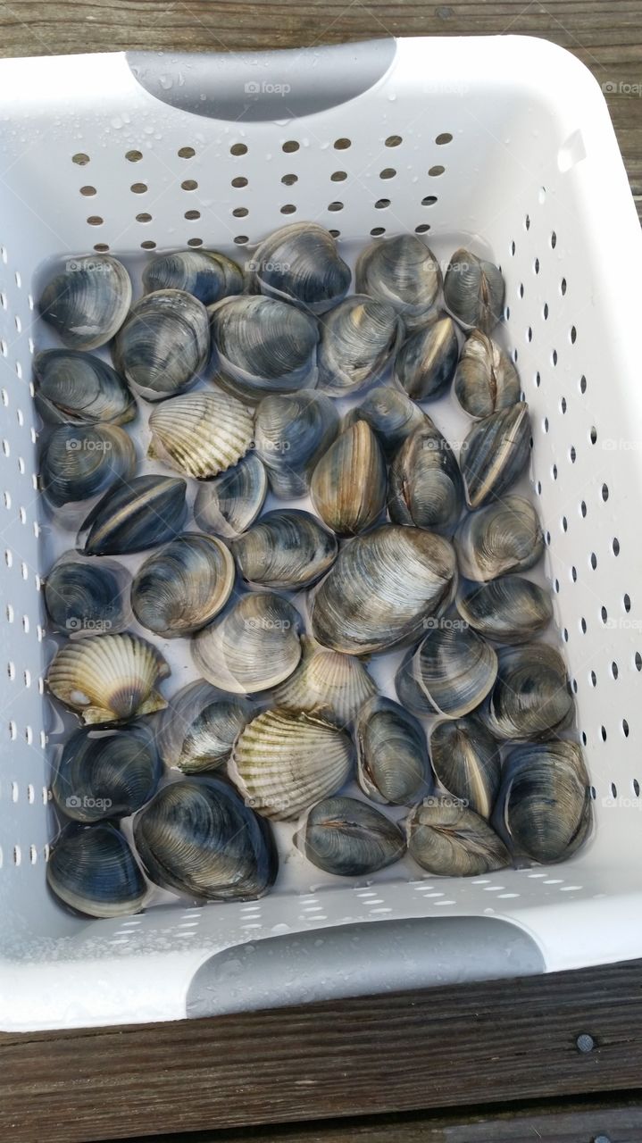 Clams in Basket