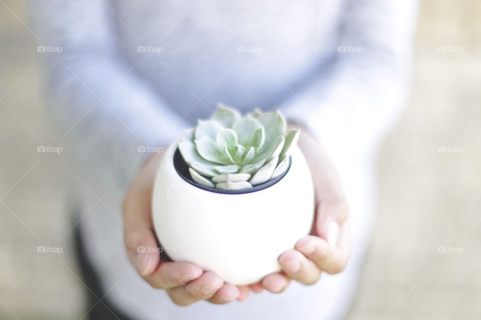 Girl holding succulent 