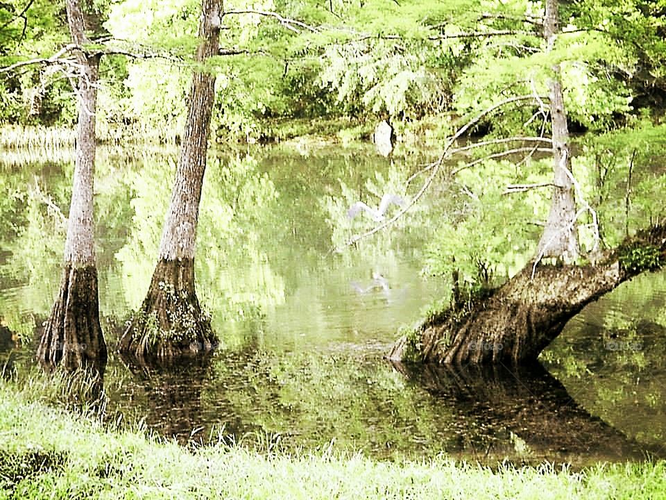 Beavers Bend Oklahoma