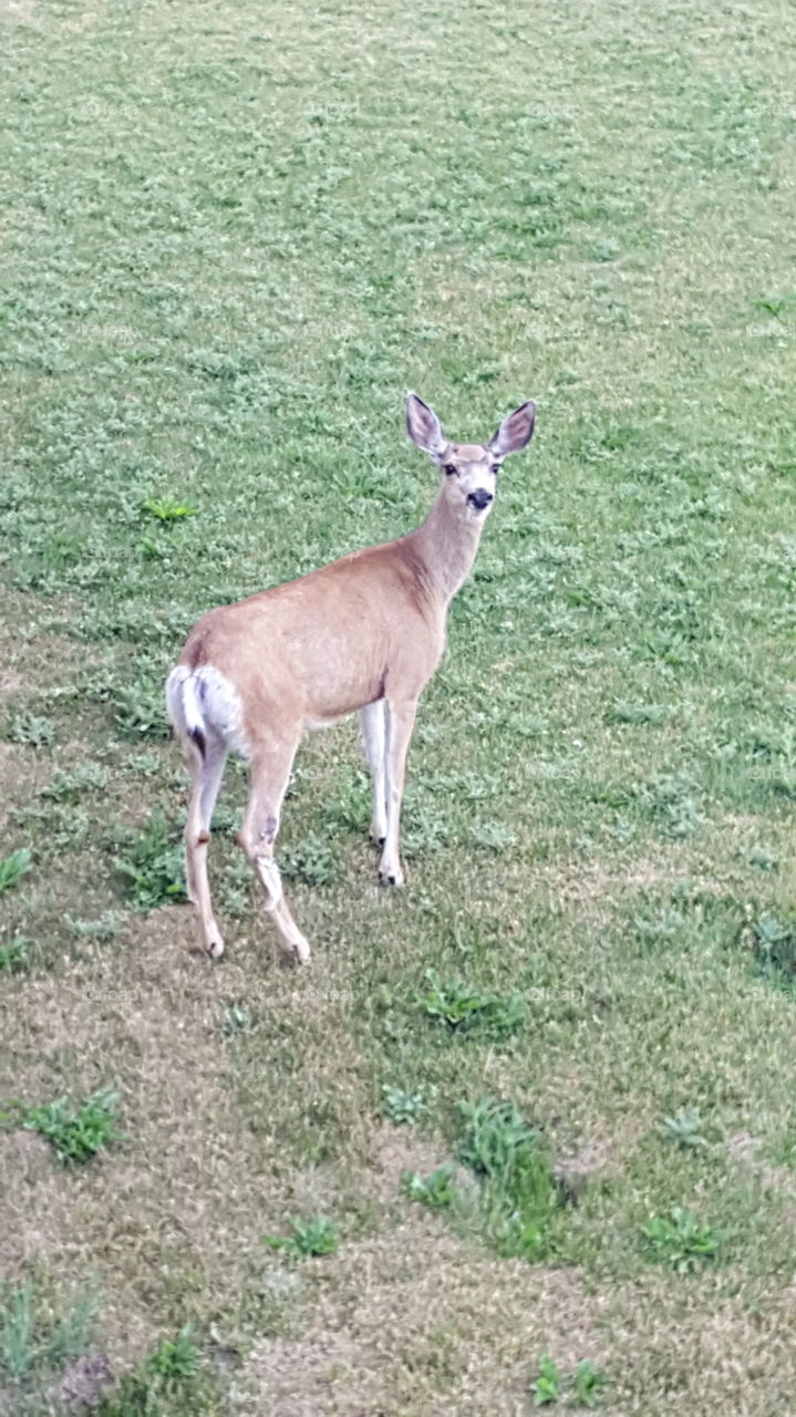 oops, caught in the act!