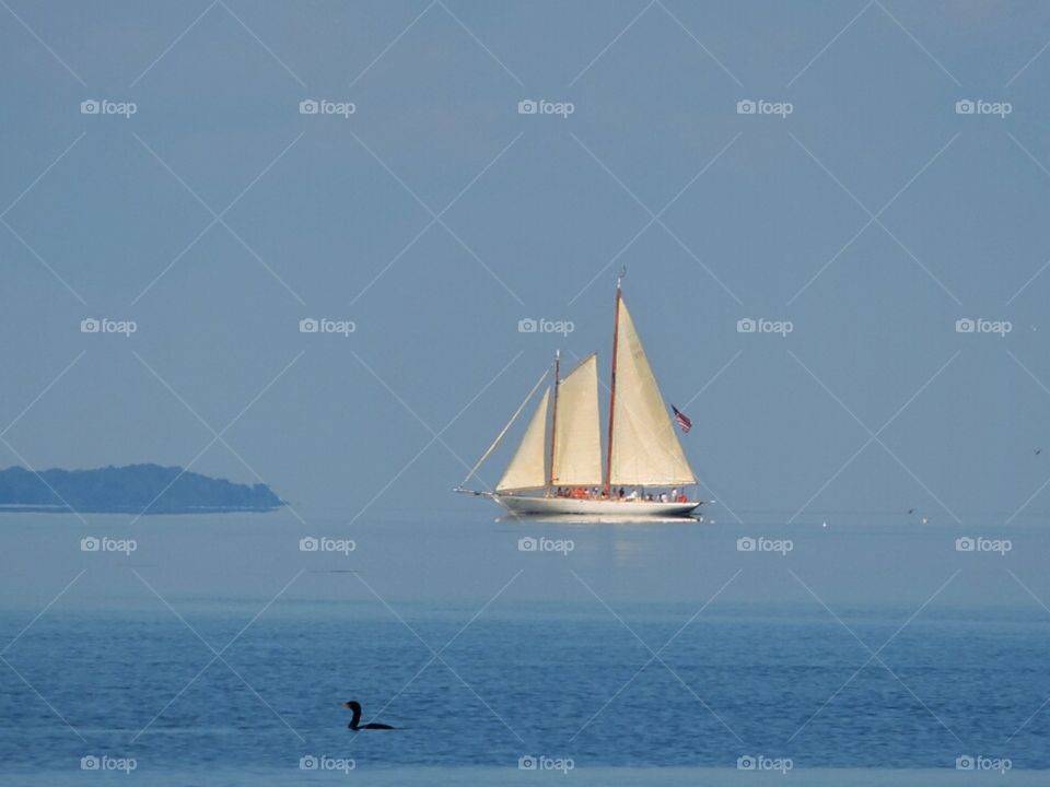 Seneca Sailboat. Walking along Seneca Lake, I spied a ship