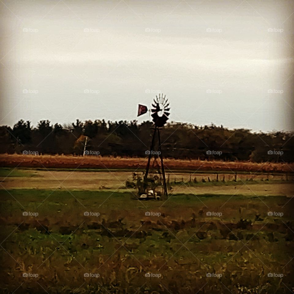 windmill