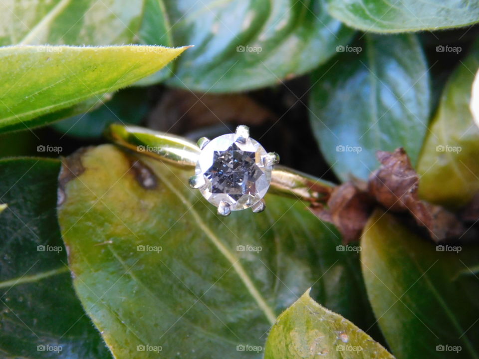 The Diamond Ring