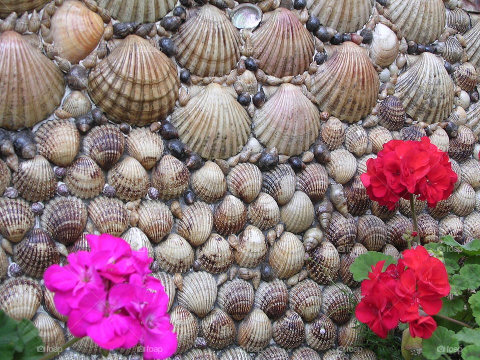 Shell wall at Asturias