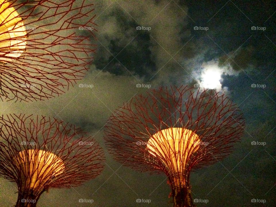 Super trees in Singapore