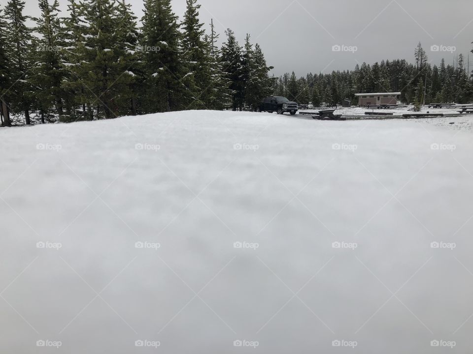 Fresh blanket of snow in Yellowstone. Had just finished snowing and decided to step out of the car to take a quick picture. 