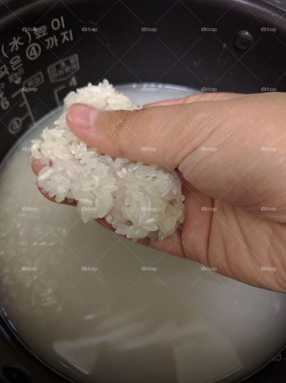 rice