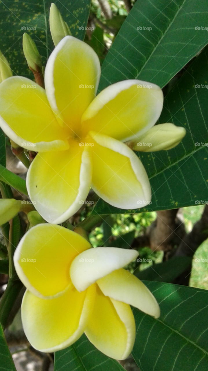 nature create beauty