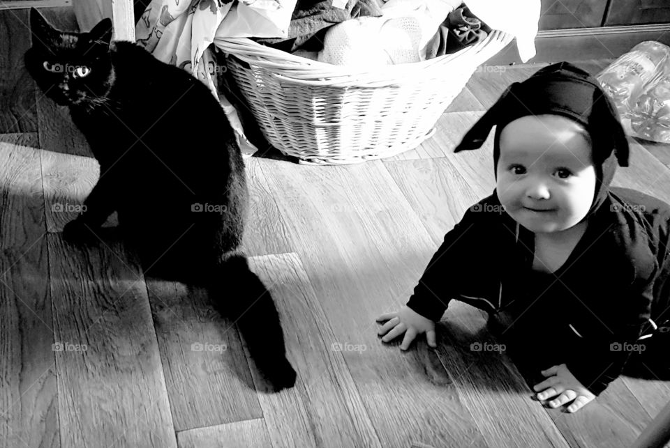 Halloween black cat and baby crawling in a bat costume,  next to washing basket in black and white.