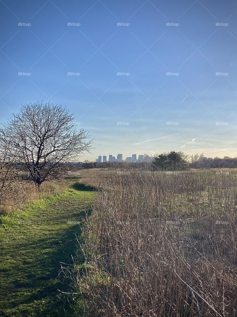 Marsh meets the city