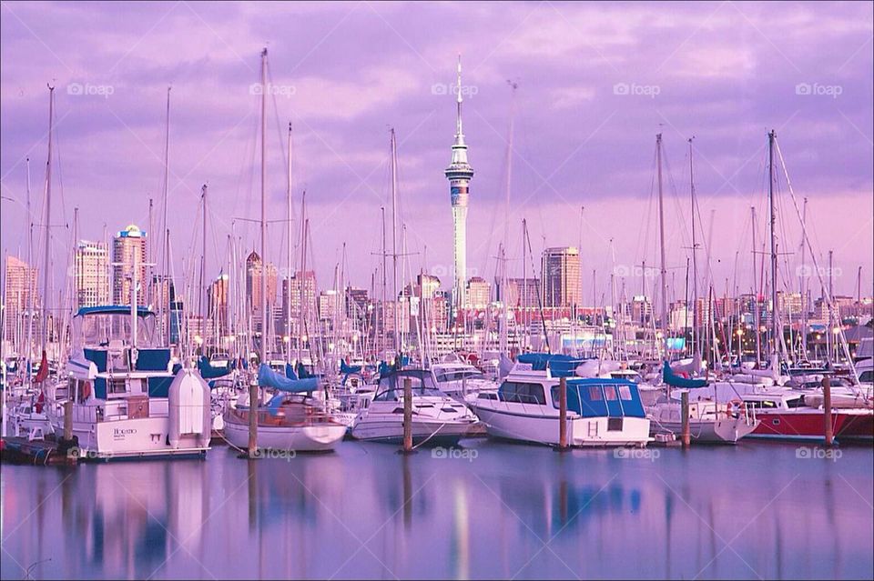 Auckland harbor at sunset