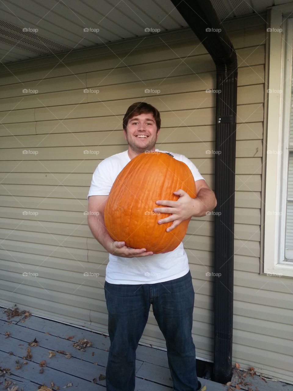 giant pumpkin