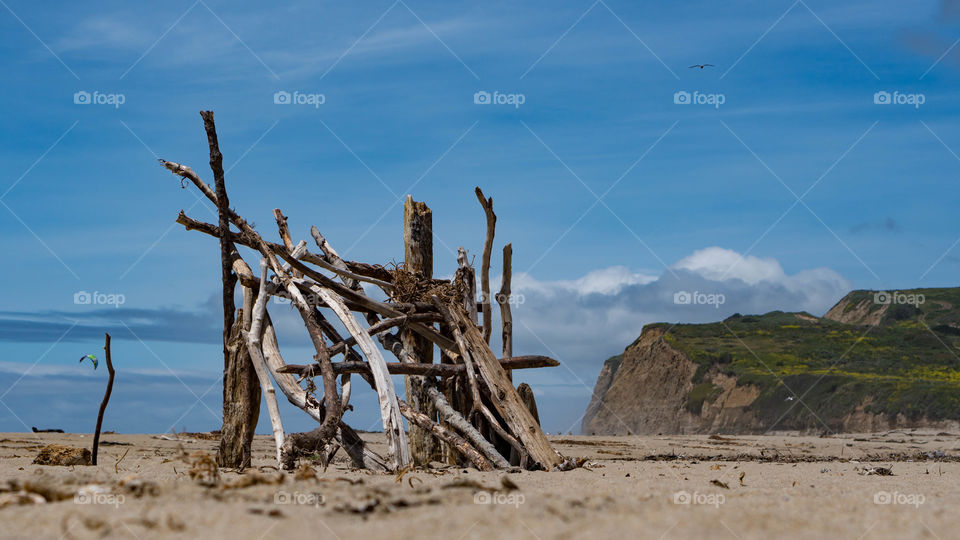 Old wood at beach