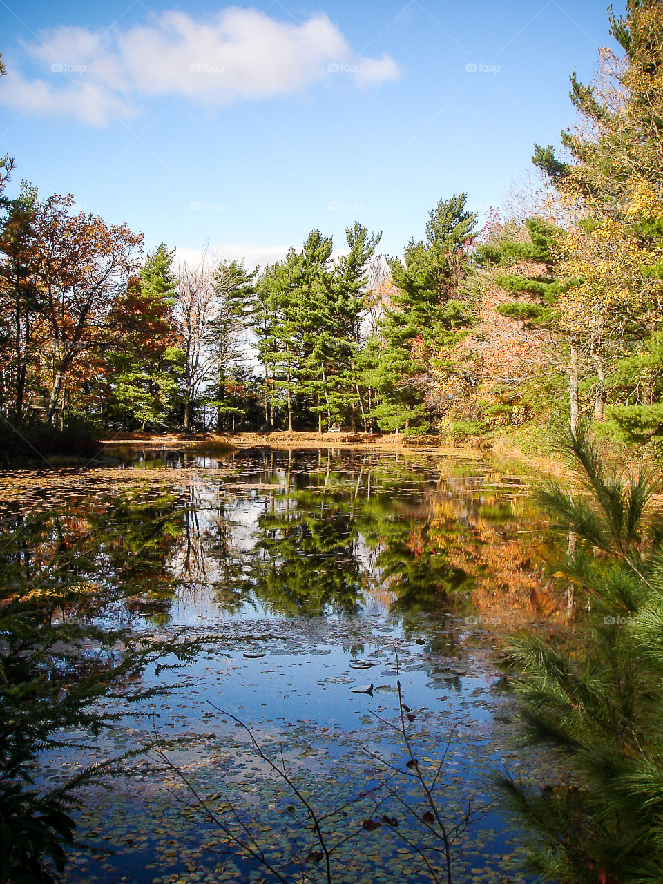 Reflection