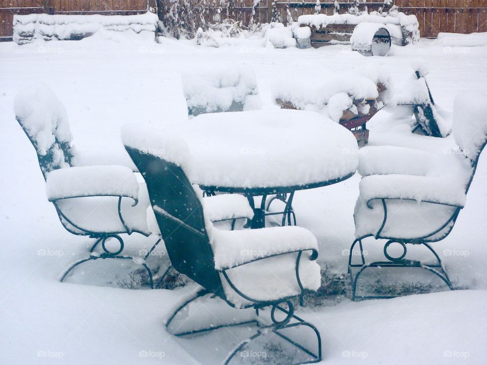 Let’s Have a Picnic!