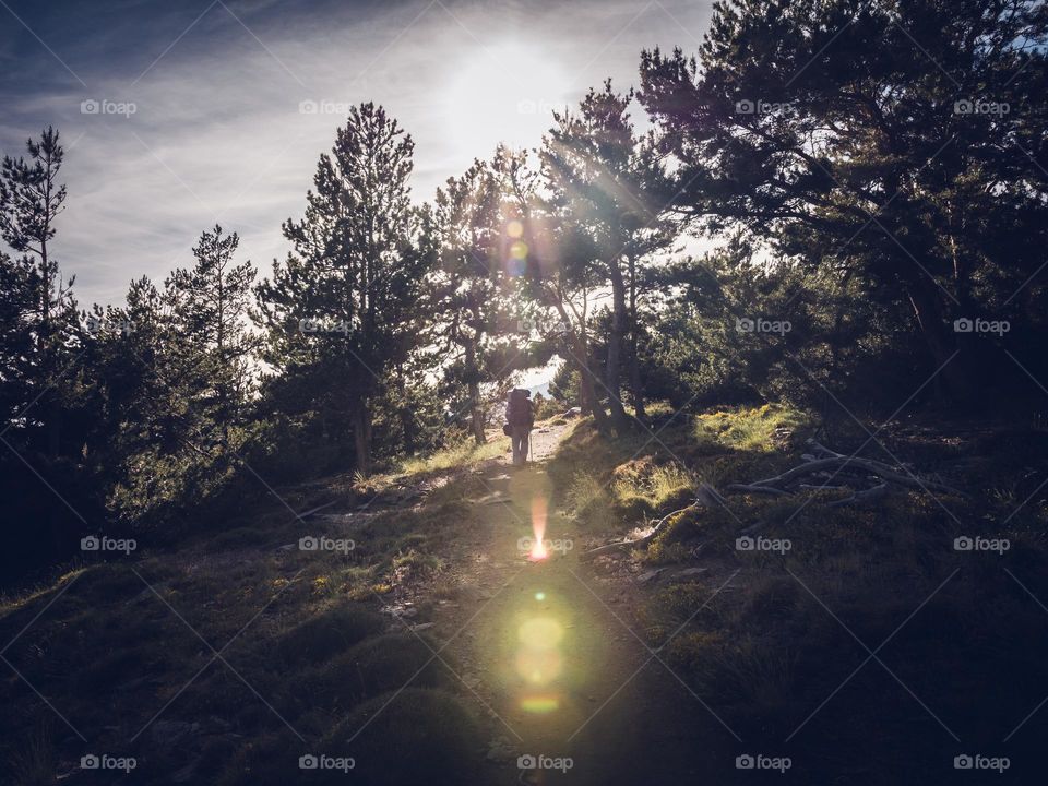 negi2466@gmail.com baby cut