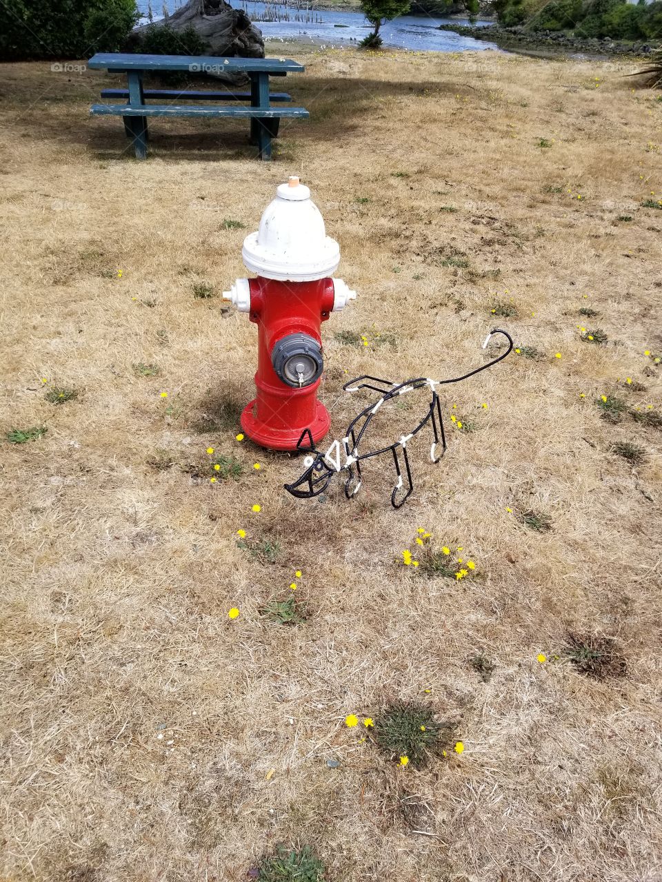 fire hydrant dog