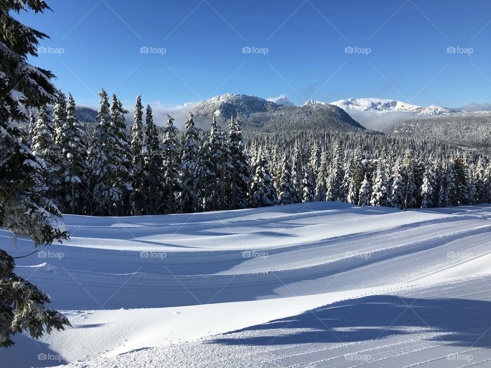 View of winter landscape