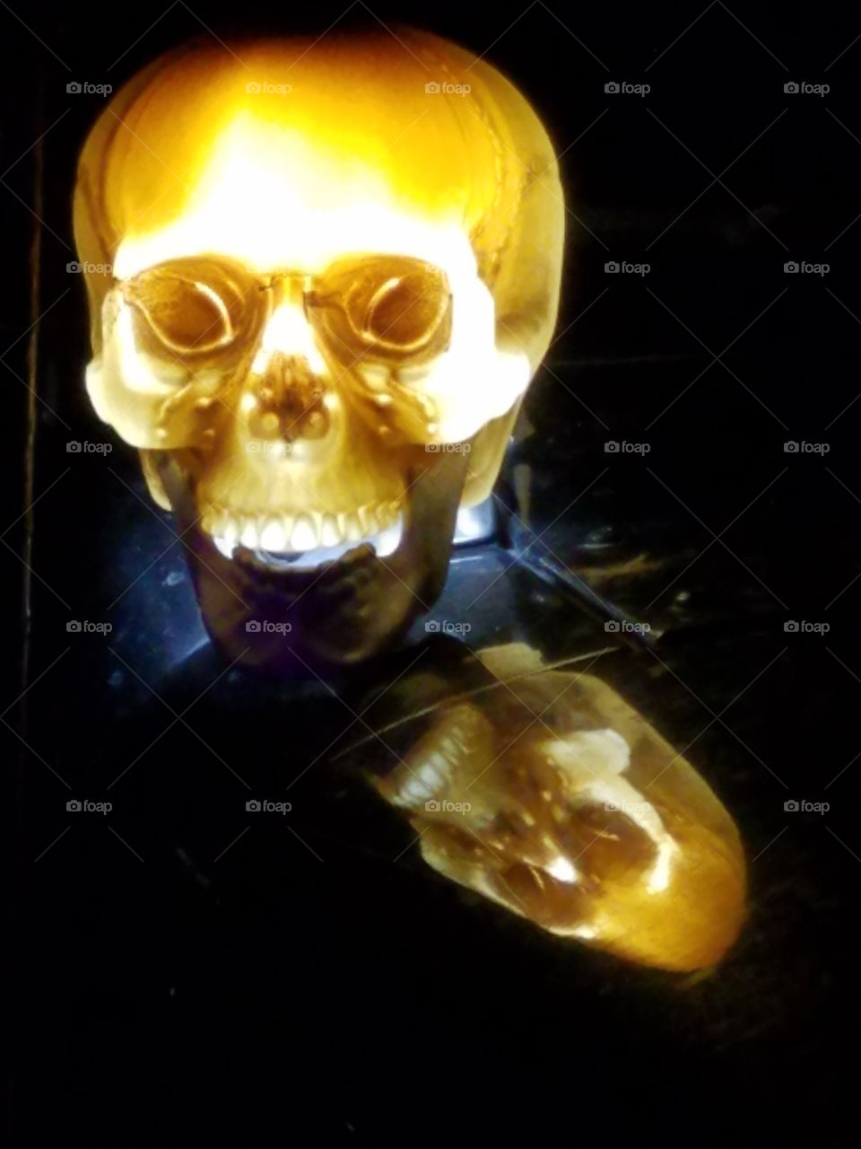 Skull and reflection