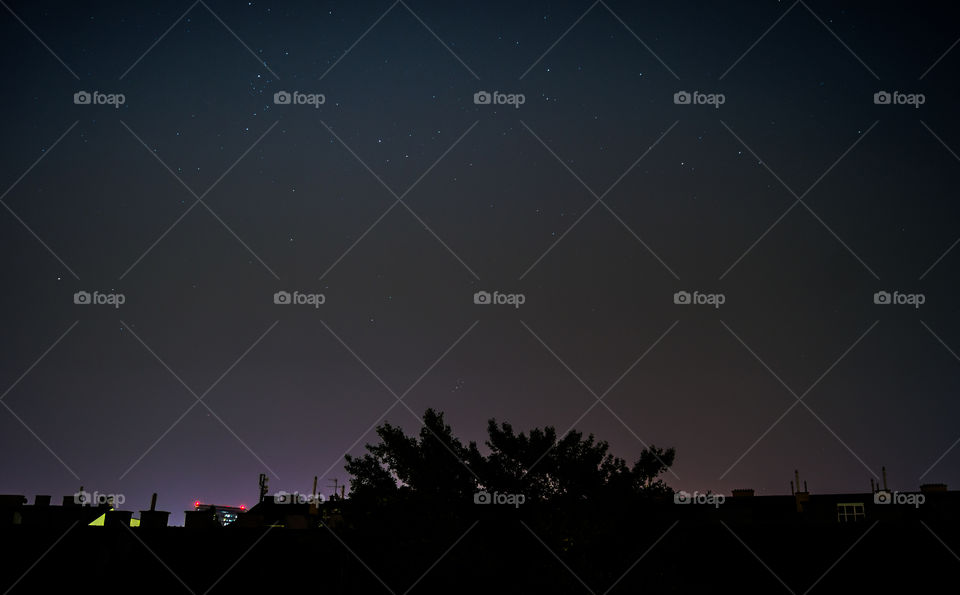 Star trails. night sky with startrails
