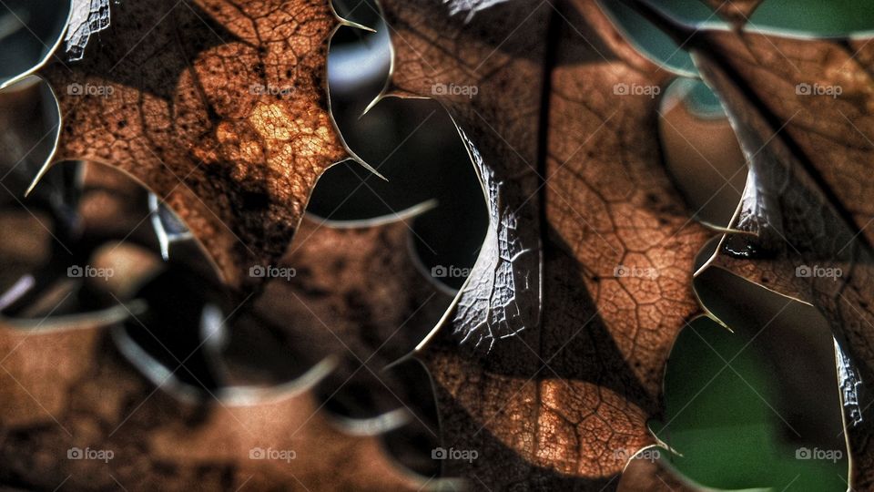 A las puertas del Otoño