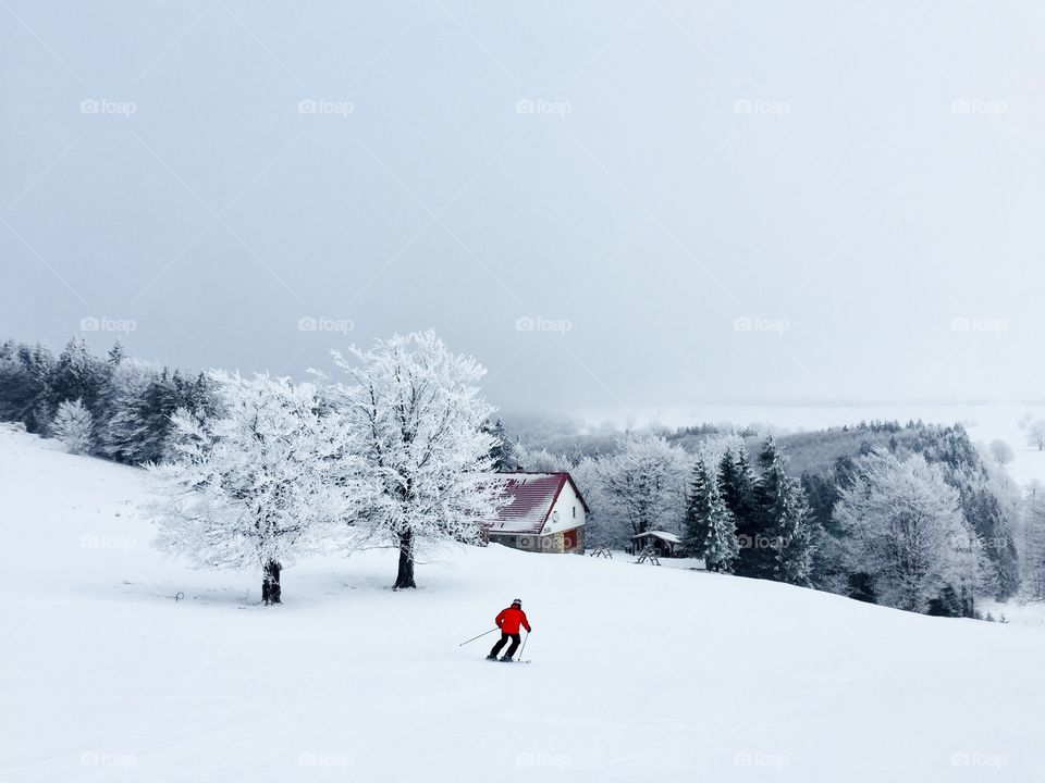 Skier in red jacket going down the slope with trees covered in snow and an only house in the background