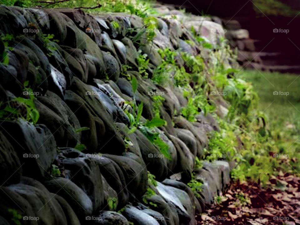 Old stone wall. Overgrown rocks, shaped by man and forgotten