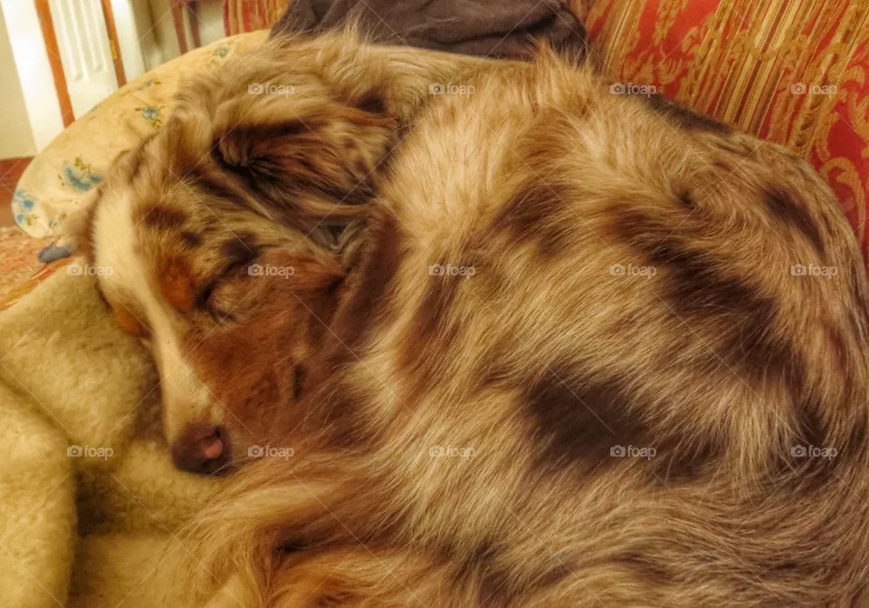 Nap Time