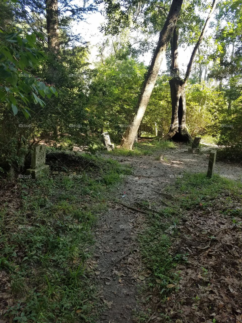 old cemetery