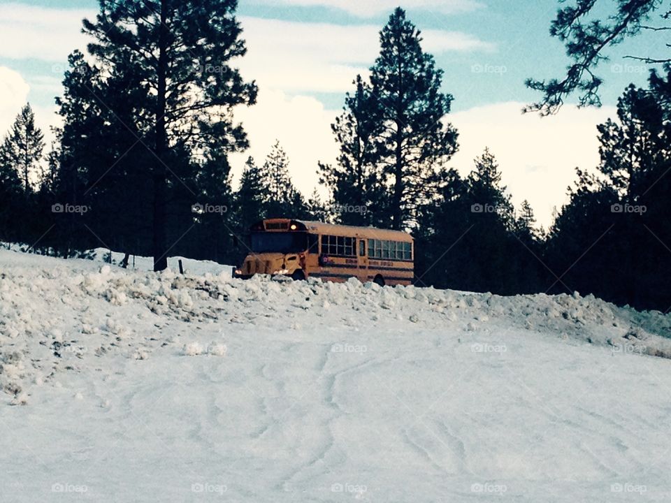 Bus in Winter