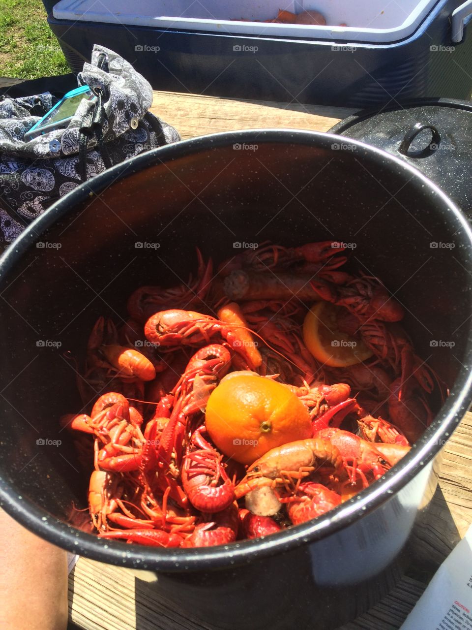 Crawfish!