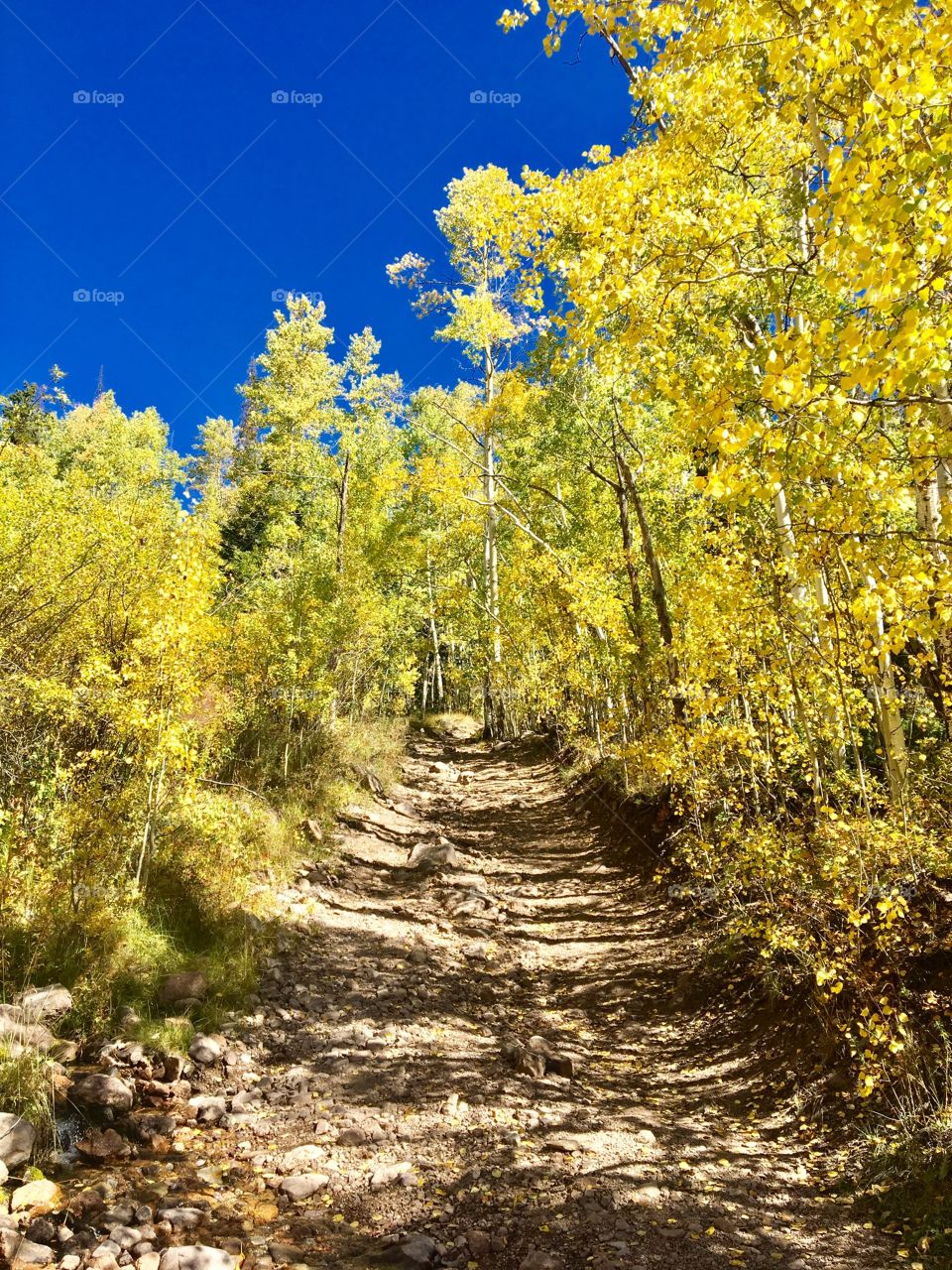 Sunny trail in Creede, Colorado
