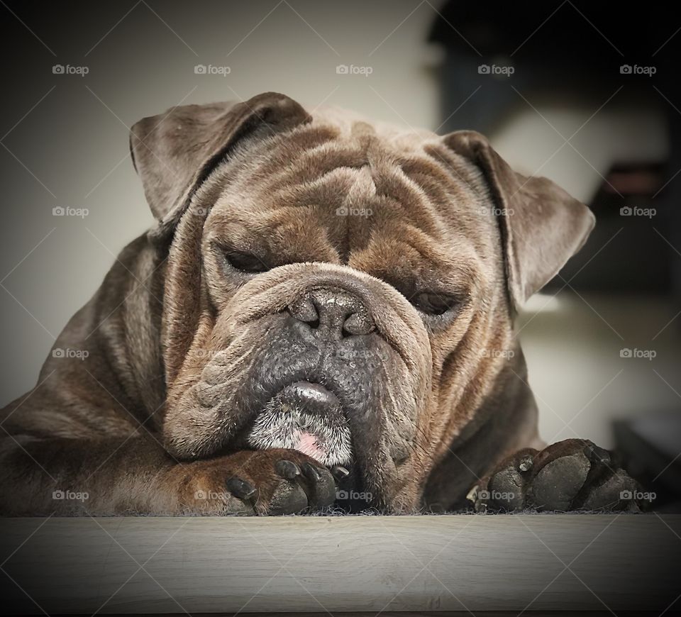 Please don’t leave me here