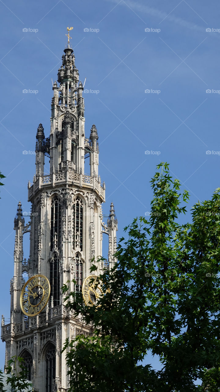 Cathedral in Antwerp, Belgium.
