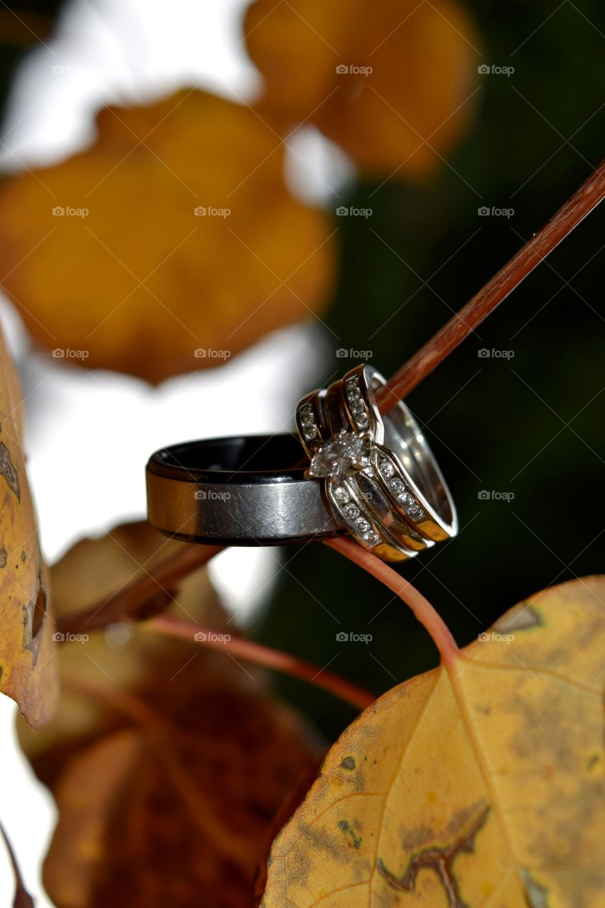 Ring shot for a fall wedding.