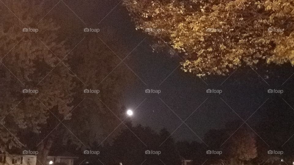 Moon lit evening