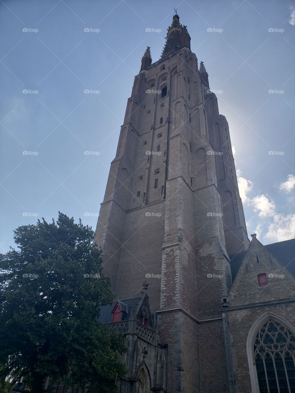 torre gótica rodeada de misticismo