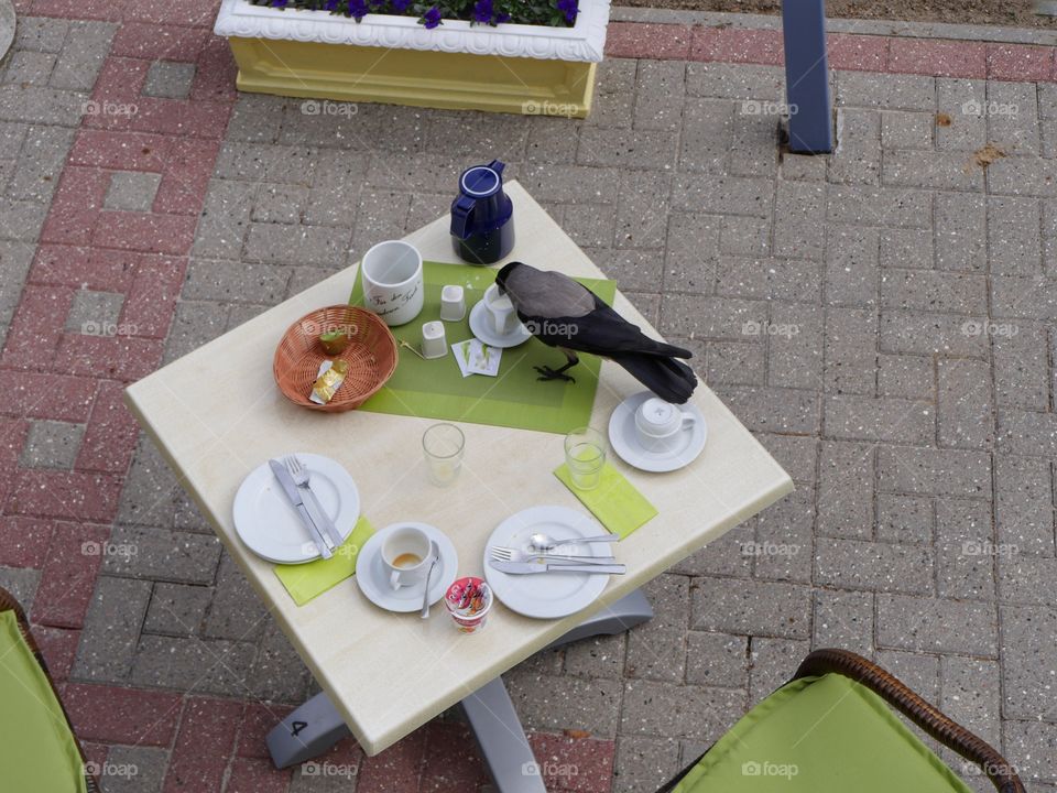 Breakfast table from above