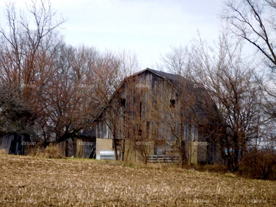 Cool old barn