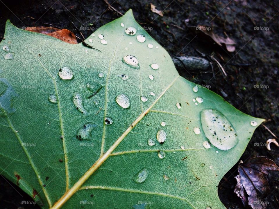 Rain, rain, go away