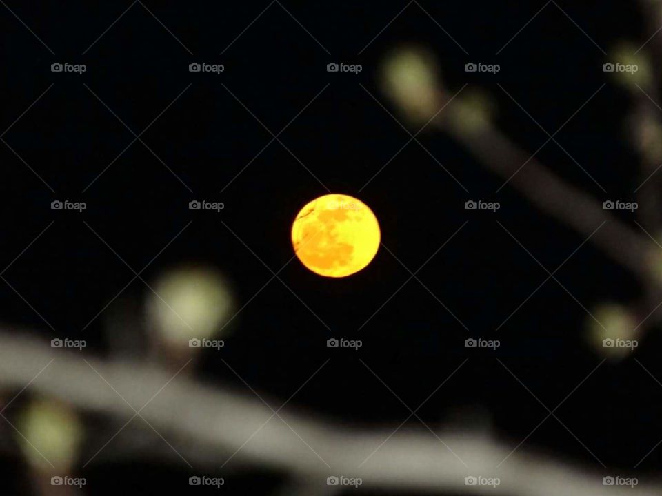 Gorgeous Full Moon so bright